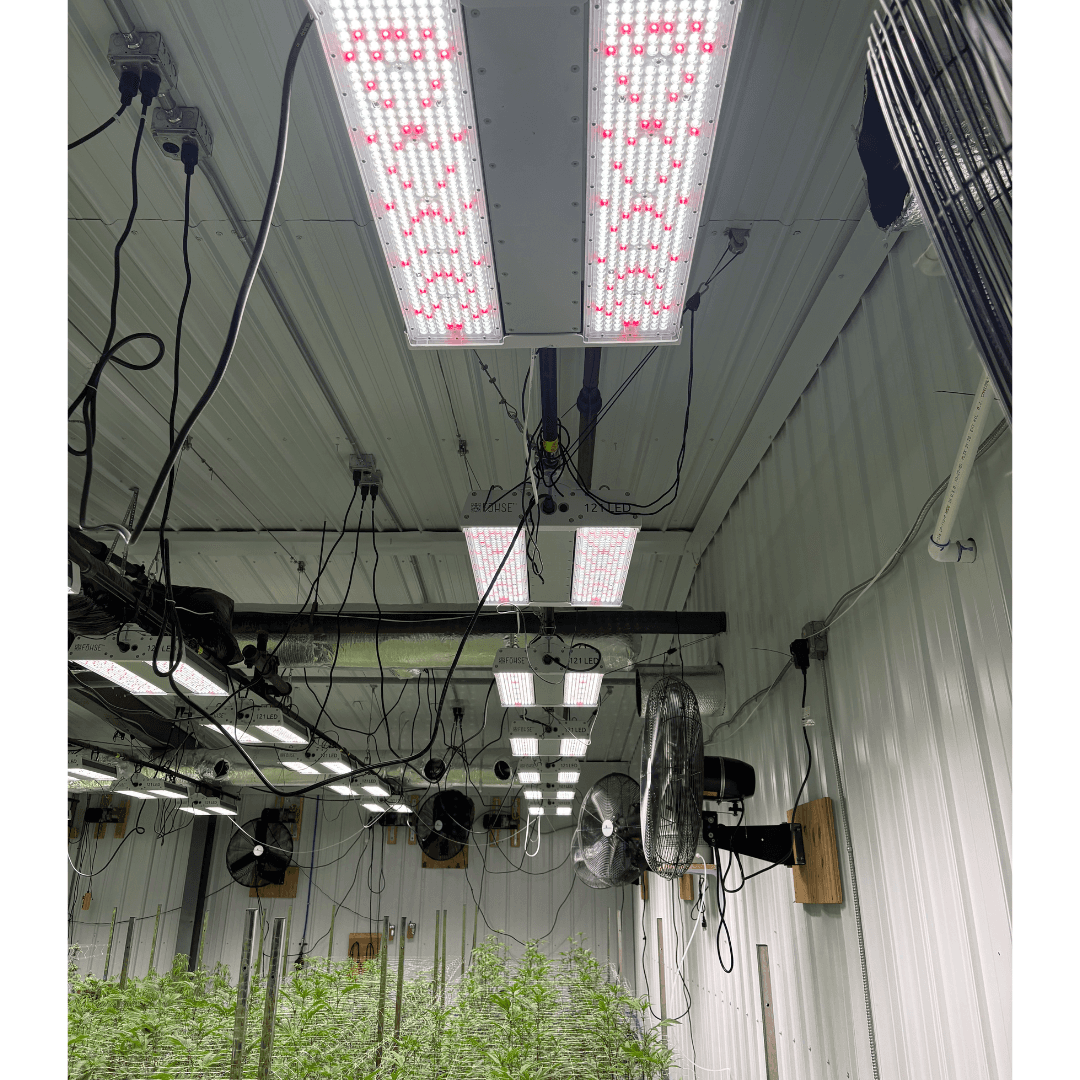 FOHSE 850W 121 LED Grow Lights – 40 Available