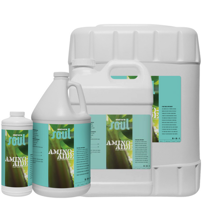 Aurora Innovations Soul Amino Aide family