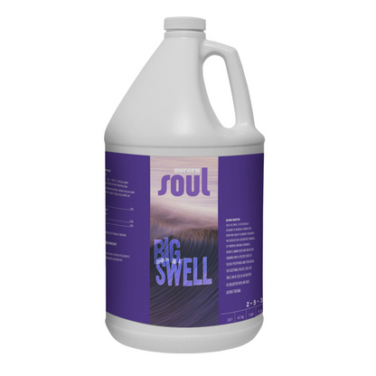 Aurora Innovations Soul Big Swell  (2 - 5 - 3) 1 gallon