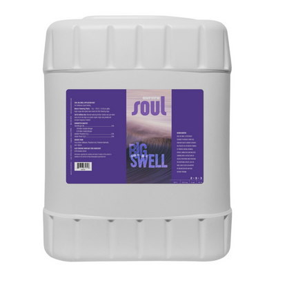 Aurora Innovations Soul Big Swell  (2 - 5 - 3) 5 gallon
