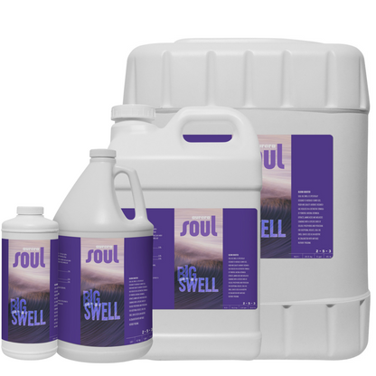 Aurora Innovations Soul Big Swell  (2 - 5 - 3)  family