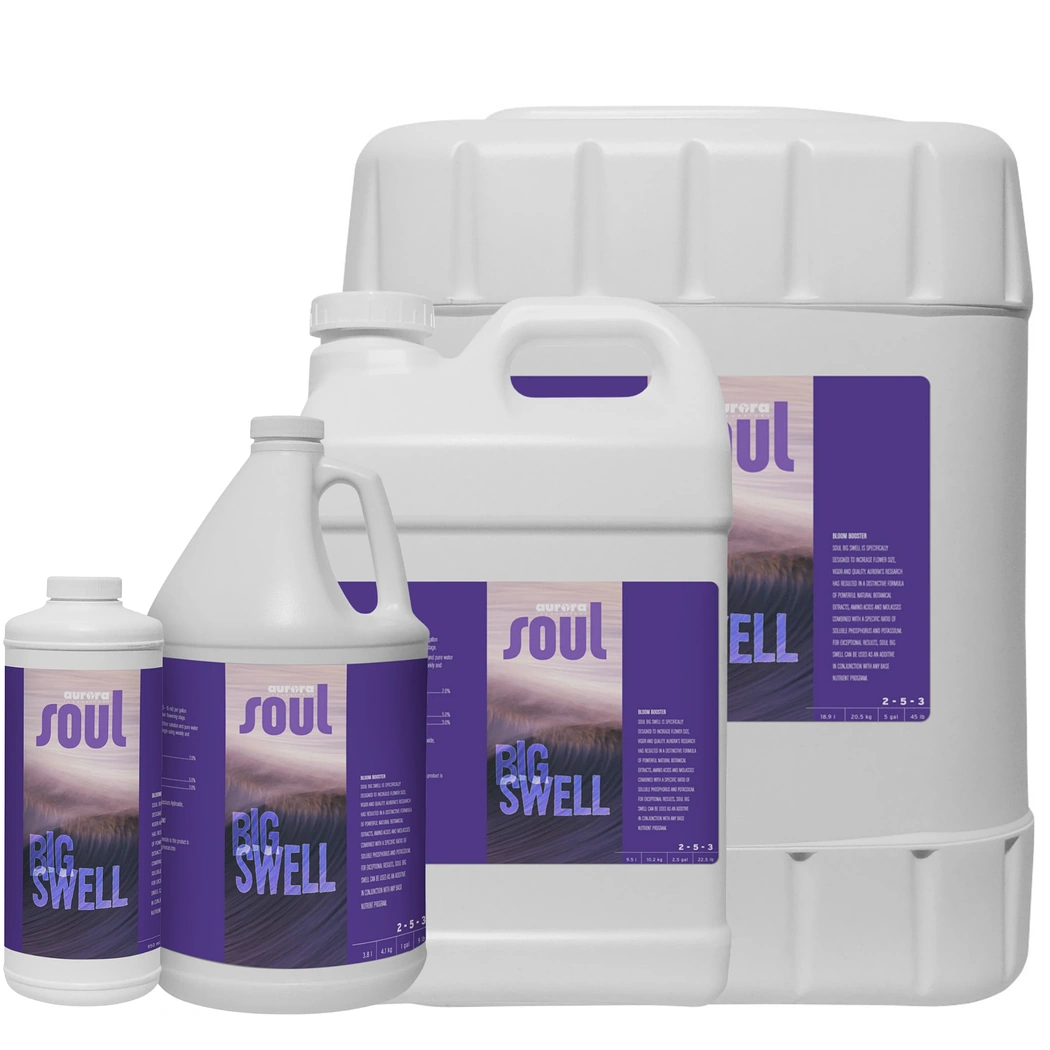 Aurora Innovations Soul Big Swell  (2 - 5 - 3)  family