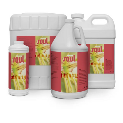 Aurora Innovations Soul Infinity family