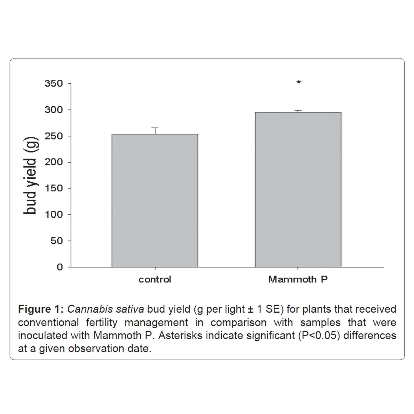 Bar graph comparing bud yield of Cannabis sativa between 'control' and 'Mammoth P' treatments