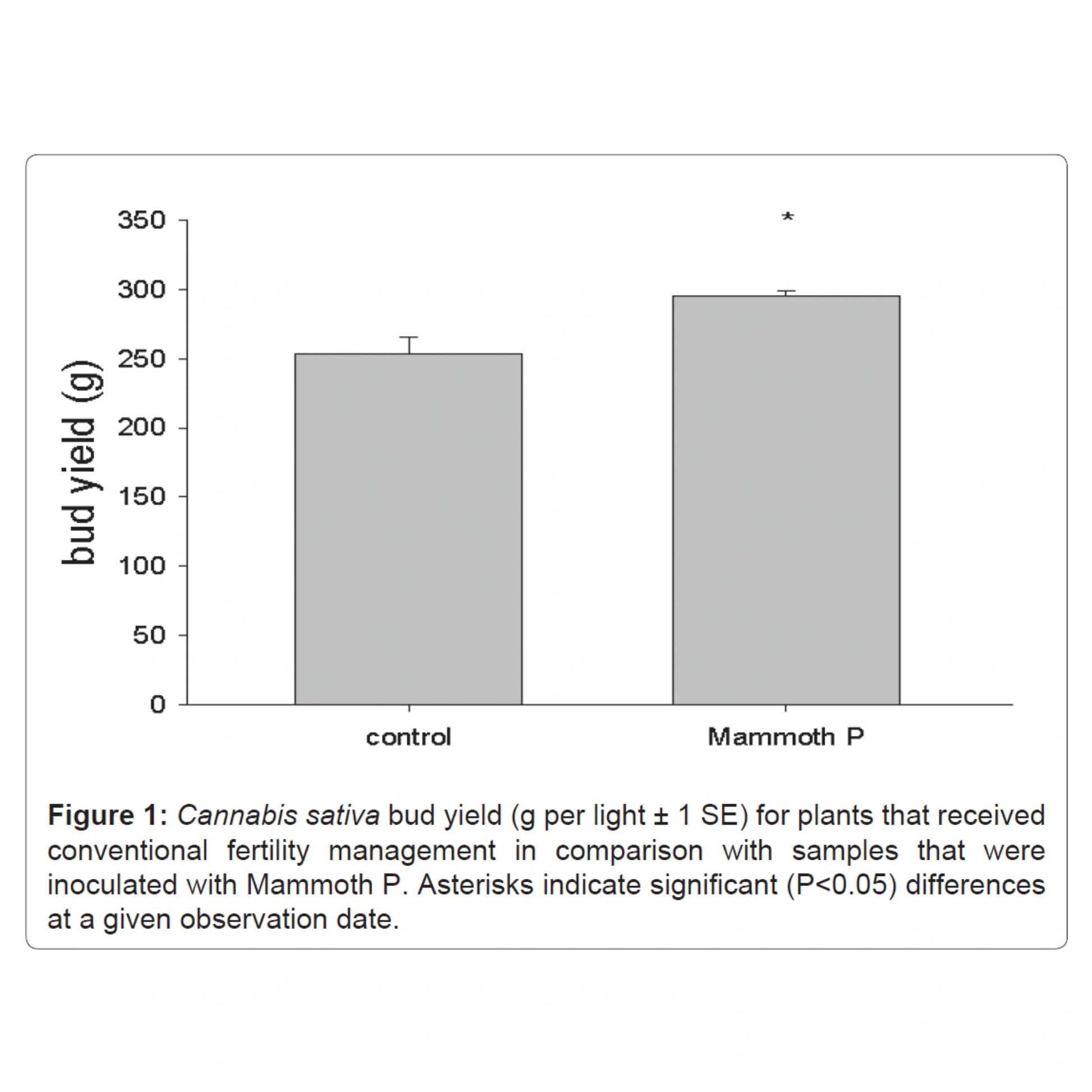Bar graph comparing bud yield of Cannabis sativa between 'control' and 'Mammoth P' treatments