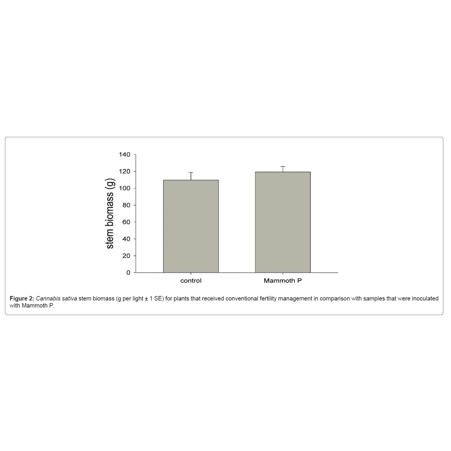 Bar graph comparing stem biomass of 'control' and 'Mammoth P' plants
