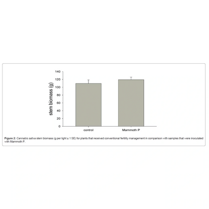 Bar graph comparing stem biomass of 'control' and 'Mammoth P' plants