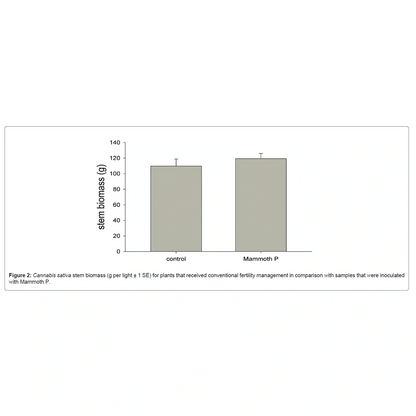 Bar graph comparing stem biomass of 'control' and 'Mammoth P' plants