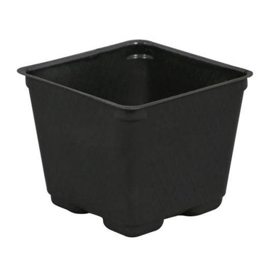 Blow Molded Square Pot 4