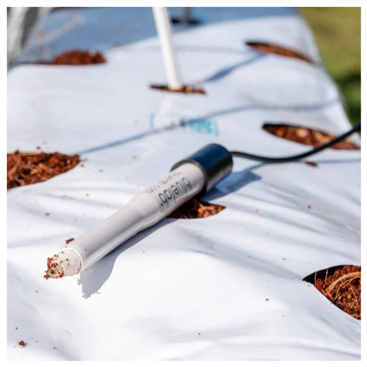 Bluelab Leap pH Probe only