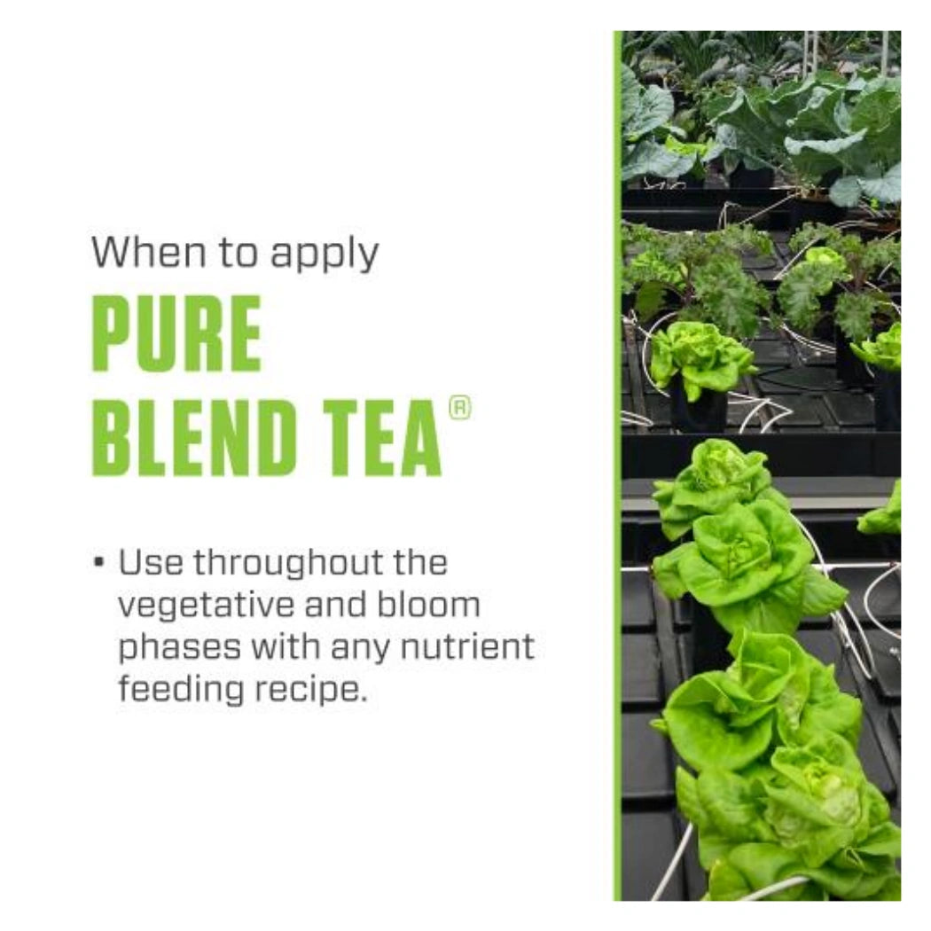 Botanicare Pure Blend Tea 55GAL when to aply