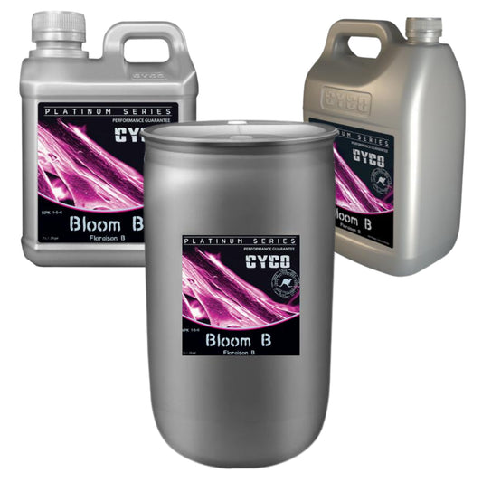 CYCO Bloom B family