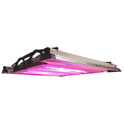 California LightWorks SolarSystem 1100 UVB in action