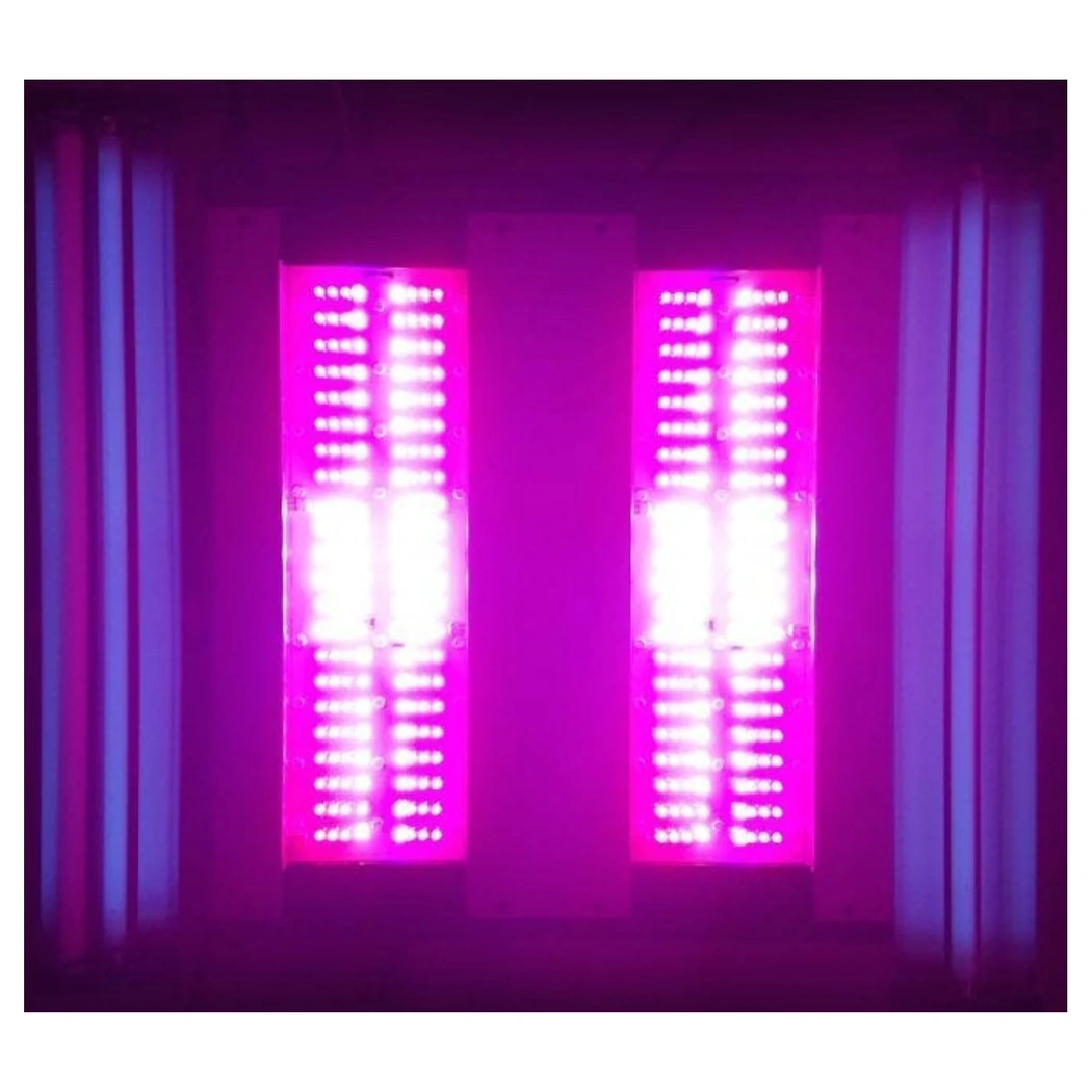 California LightWorks SolarSystem 1100 UVB lights