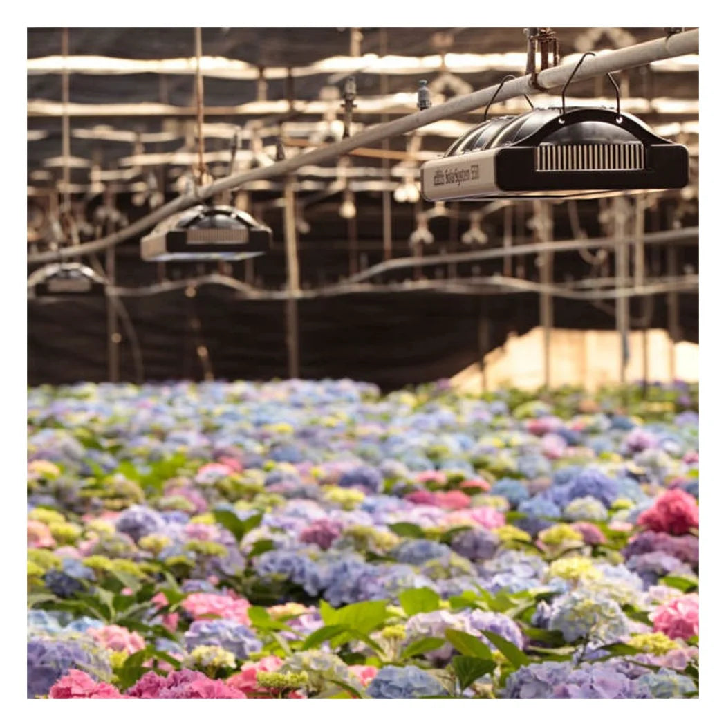 California LightWorks SolarSystem LED Light Controller lights