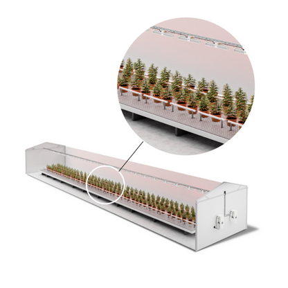 California Lightworks Commercial Under Canopy Lighting
