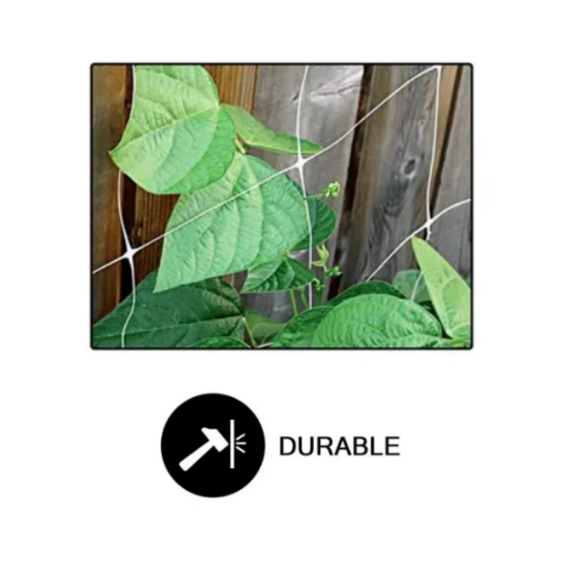 Common Culture Bio Trellis Netting Bulk Roll 5 Ft X 3280 Squares Flexible