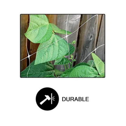 Common Culture Bio Trellis Netting Bulk Roll 5 Ft X 3280 Squares Flexible