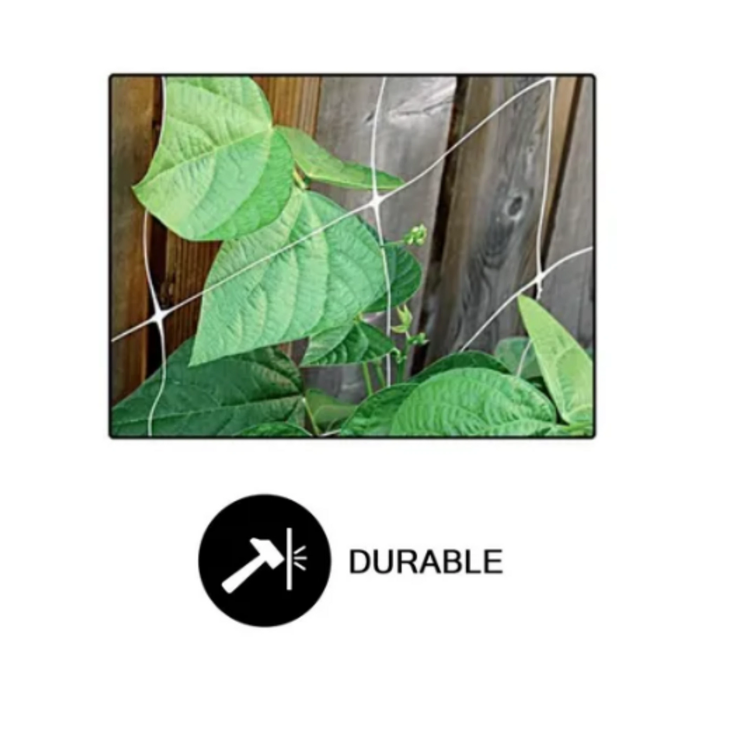 Common Culture Bio Trellis Netting Bulk Roll 5 ft x 15 ft w_ 6in Squares Durable