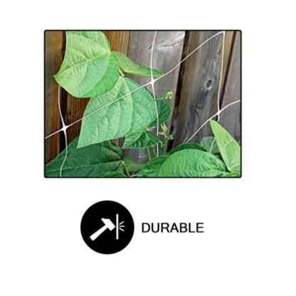 Common Culture Bio Trellis Netting Bulk Roll 5 ft x 15 ft w_ 6in Squares Durable