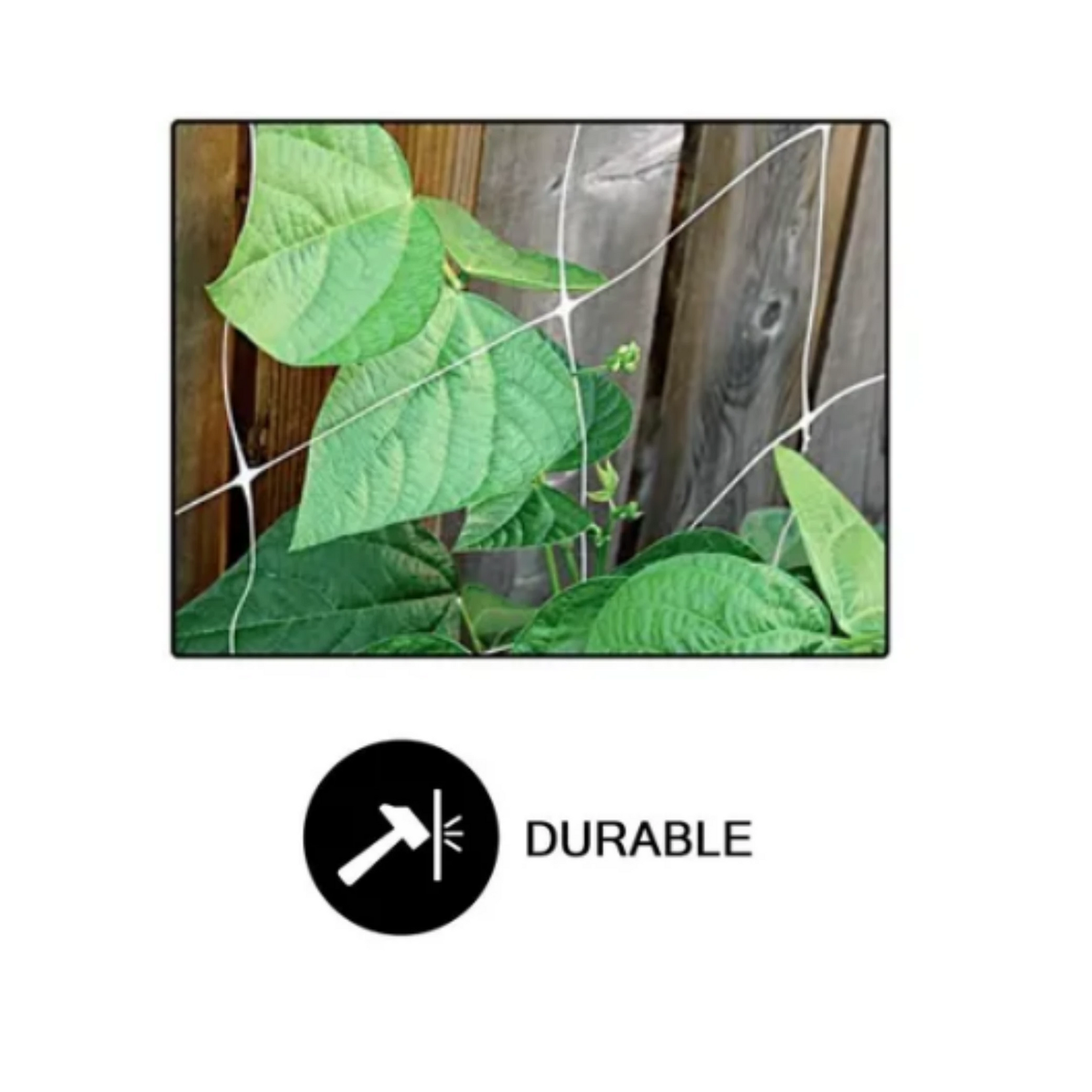 Common Culture Bio Trellis Netting Bulk Roll 5 ft x 60 ft w_ 6in Squares Durable