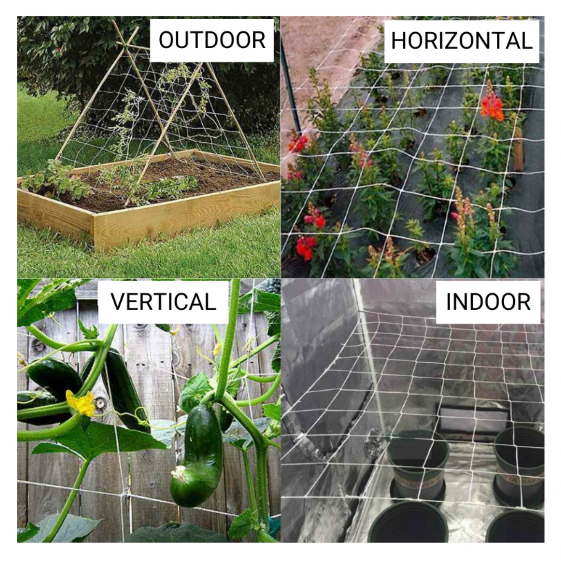 Common Culture Bio Trellis Netting Bulk Roll 5 ft x 60 ft w_ 6in Squares how to use