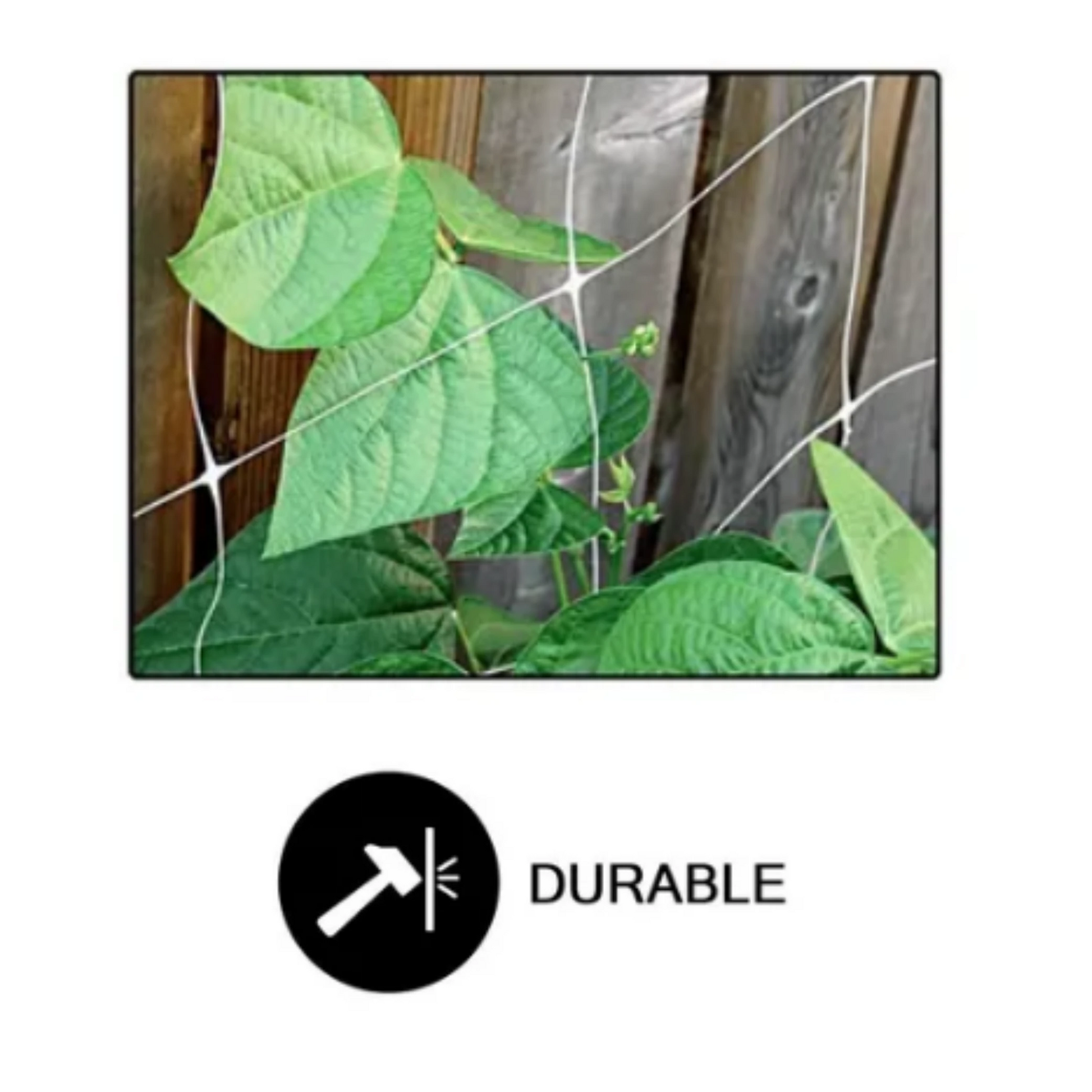 Common Culture Plastic Trellis Netting Bulk Roll 5 ft x 3,920 ft durable