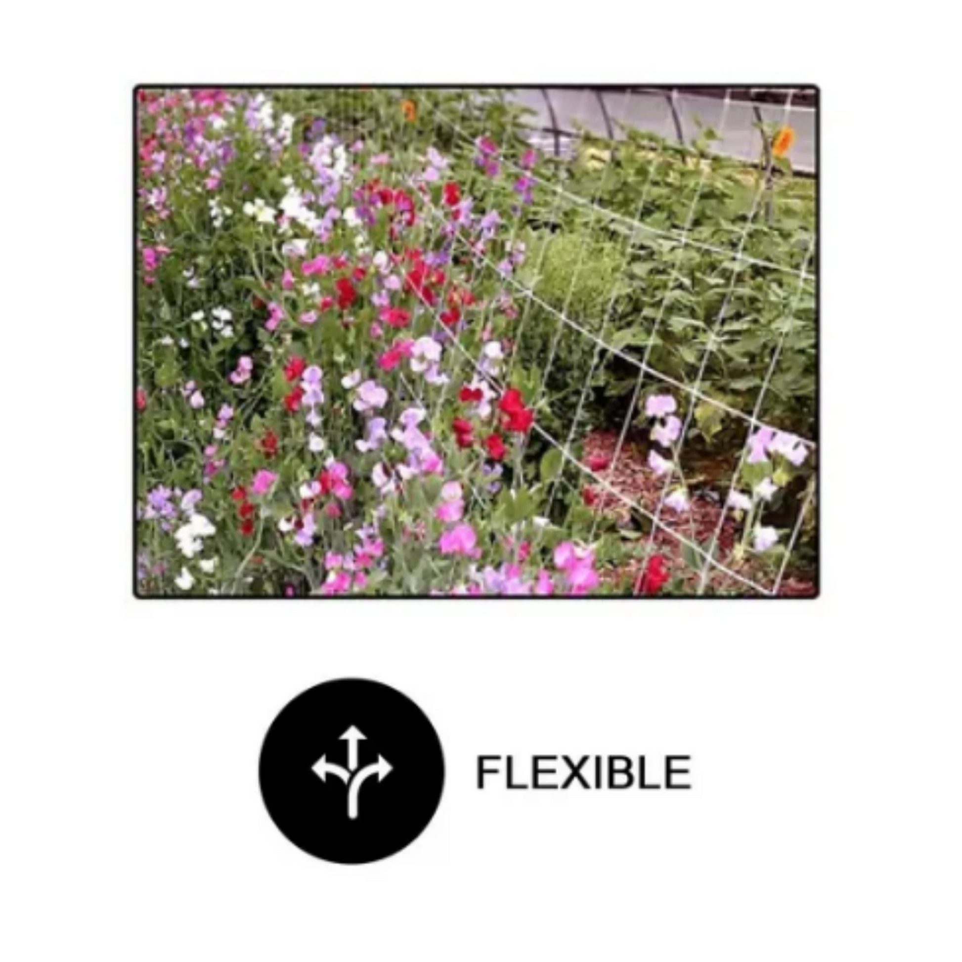 Common Culture Plastic Trellis Netting Bulk Roll 5 ft x 3,920 ft flexible