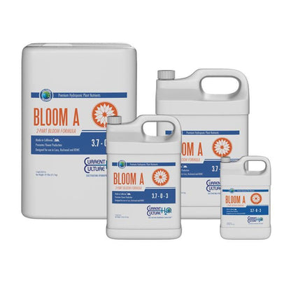 Cultured Solutions Bloom A family