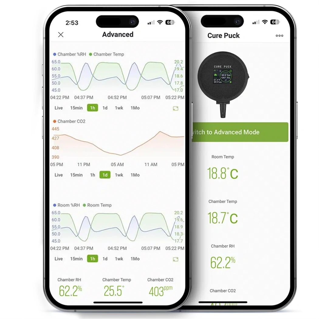 Cure Puck app