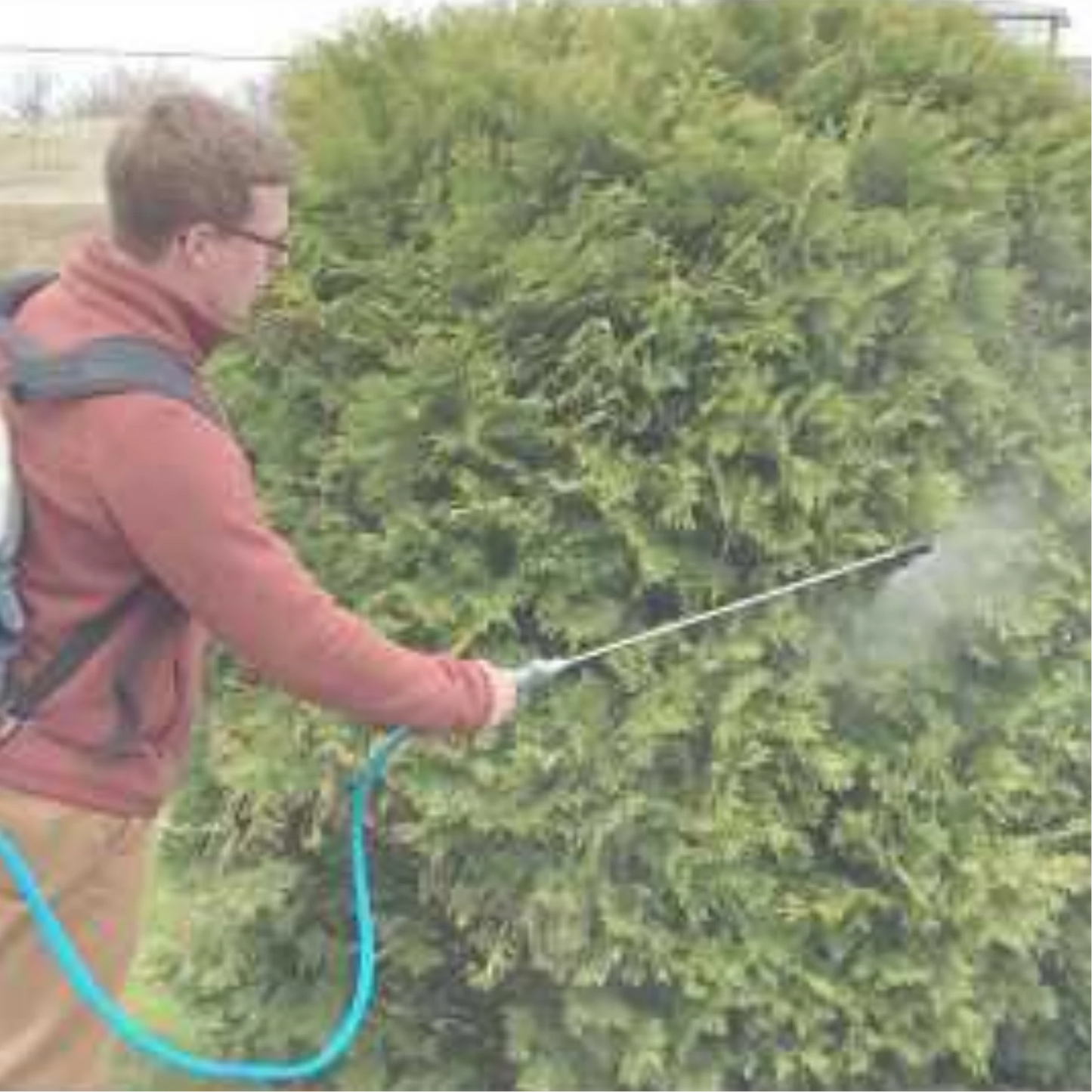 Dramm Backpack Sprayer 150 PSI - 4 Gal in use