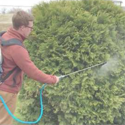 Dramm Backpack Sprayer 150 PSI - 4 Gal in use