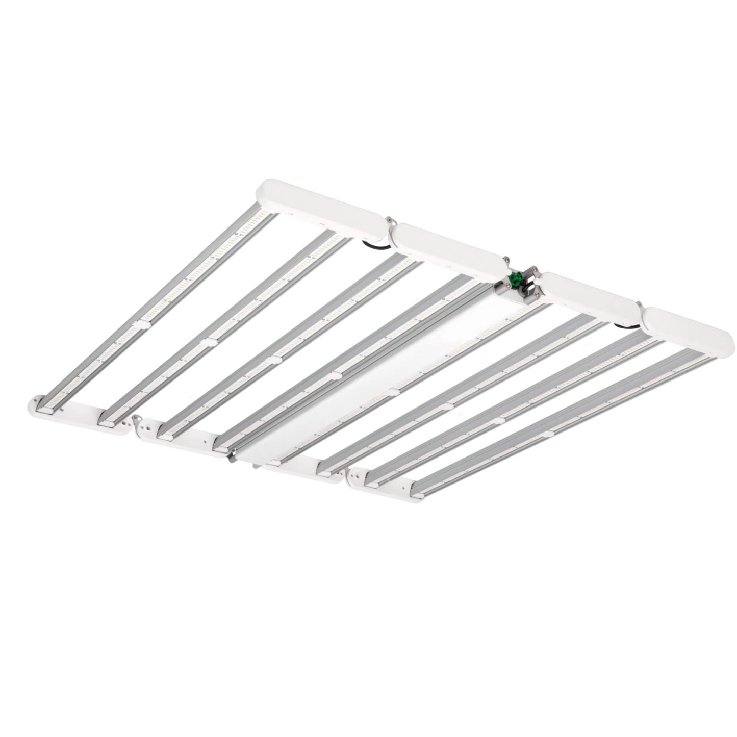 Dutch Lighting Innovations LED Multilayer 600 FS-DC left side