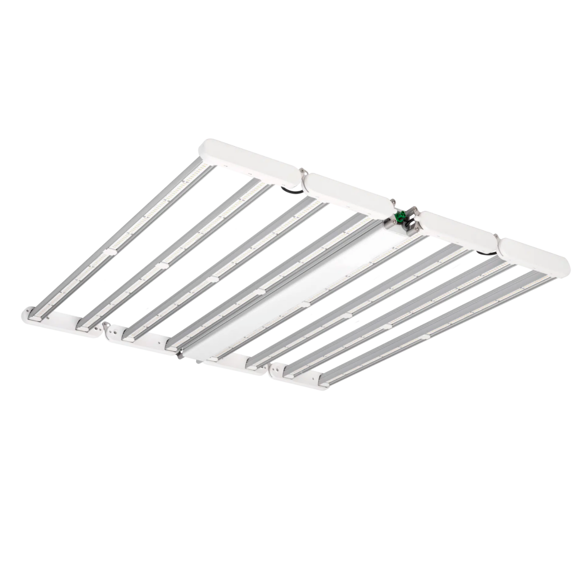 Dutch Lighting Innovations LED Multilayer 600 FS-DC left side