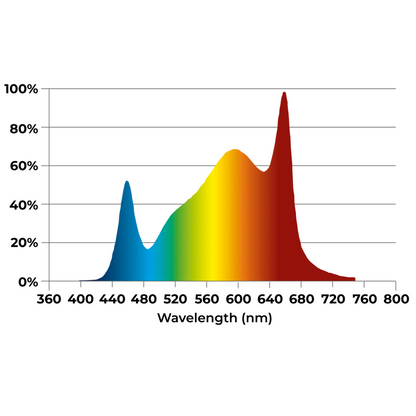 Dutch Lighting Innovations LED Multilayer 600 FS-DC spectrum