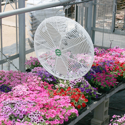 EZ-Breeze HAF Basket Fan in action