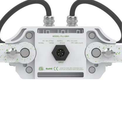 FloraFlex DLC 1200W 6-BAR female plug