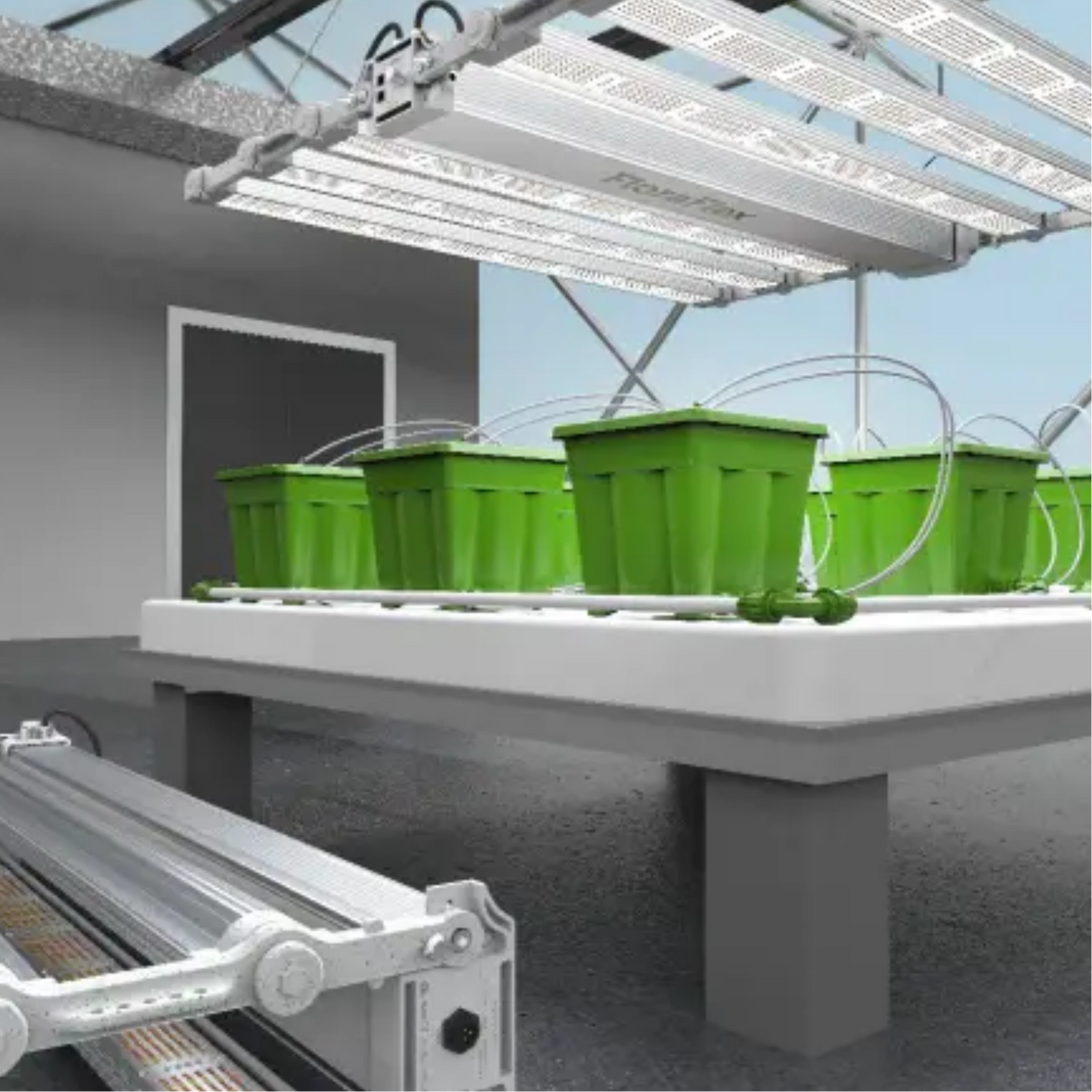 FloraFlex DLC 1200W 6-BAR in action