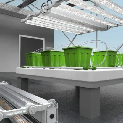 FloraFlex DLC 1200W 6-BAR in action