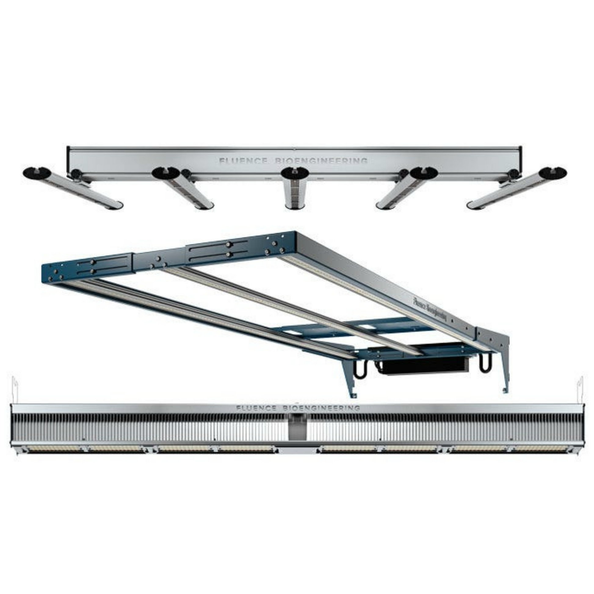 Fluence RAY22 arrange