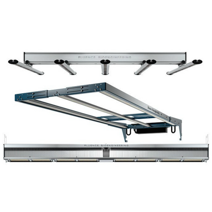 Fluence RAY22 arrange