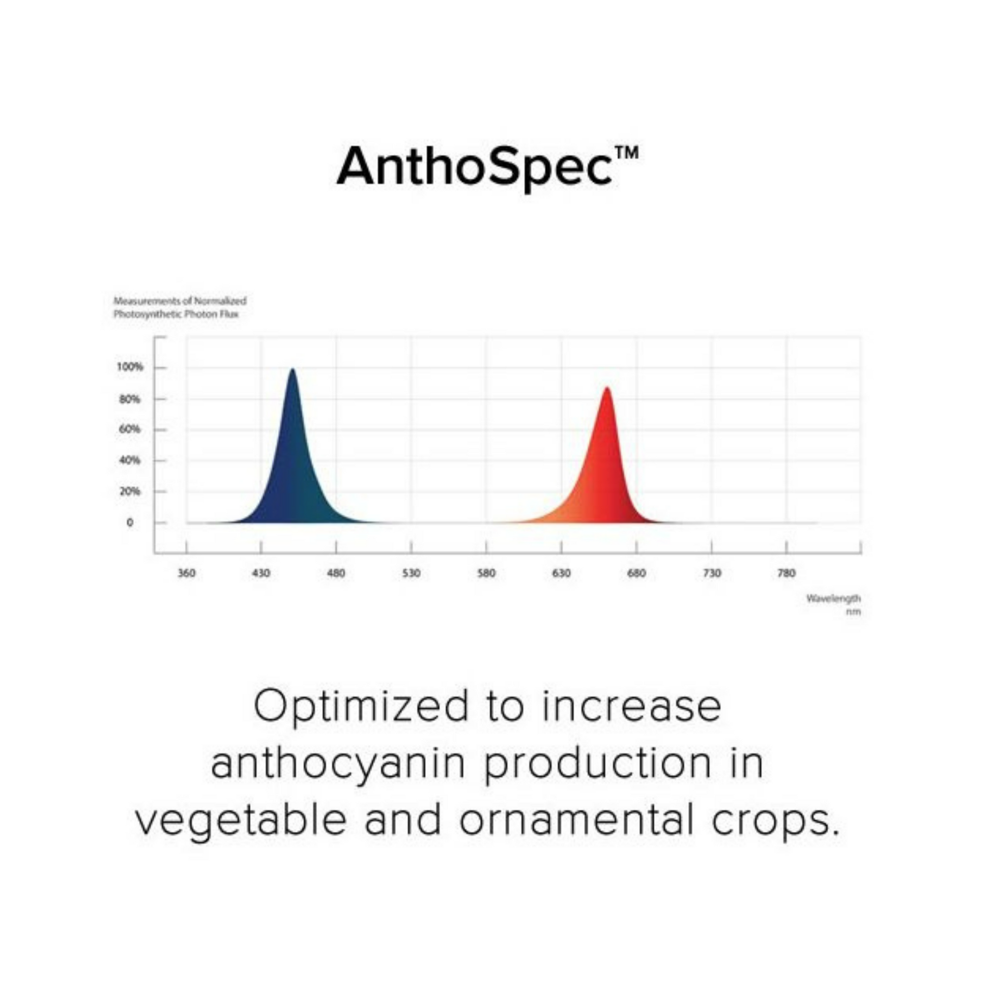 Fluence RAY44 w_RAYMOUNT Antho Spectrum