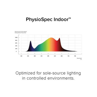 Fluence RAY44 w_RAYMOUNT Physio Spectrum