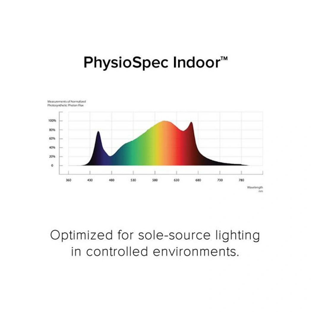 Fluence Rapter Spectrum Fluence RAY44 LED Grow Light Bar with RAYMOUNT | 4 ft Multipurpose ...