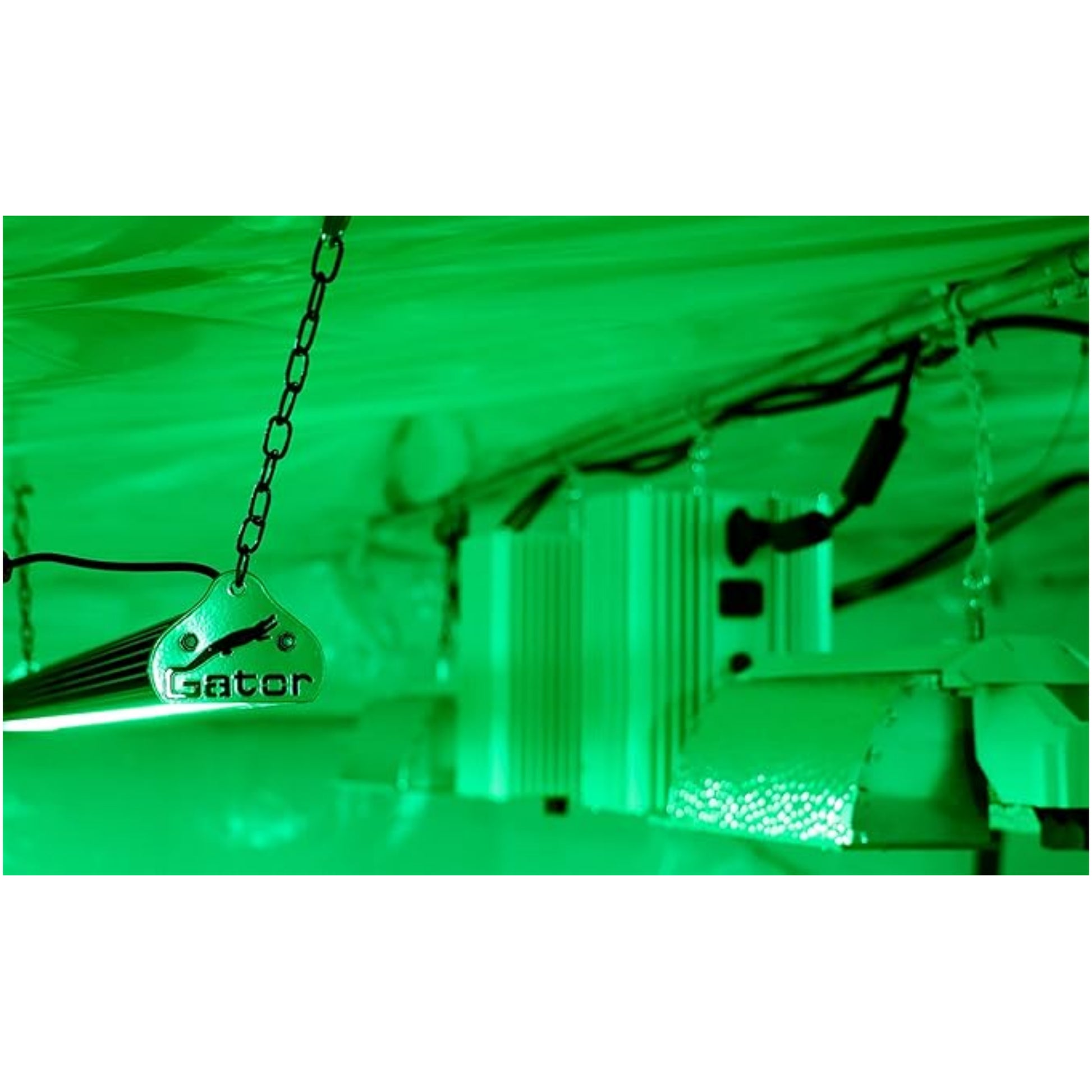 Gator Green LED Grow Room Light green glow