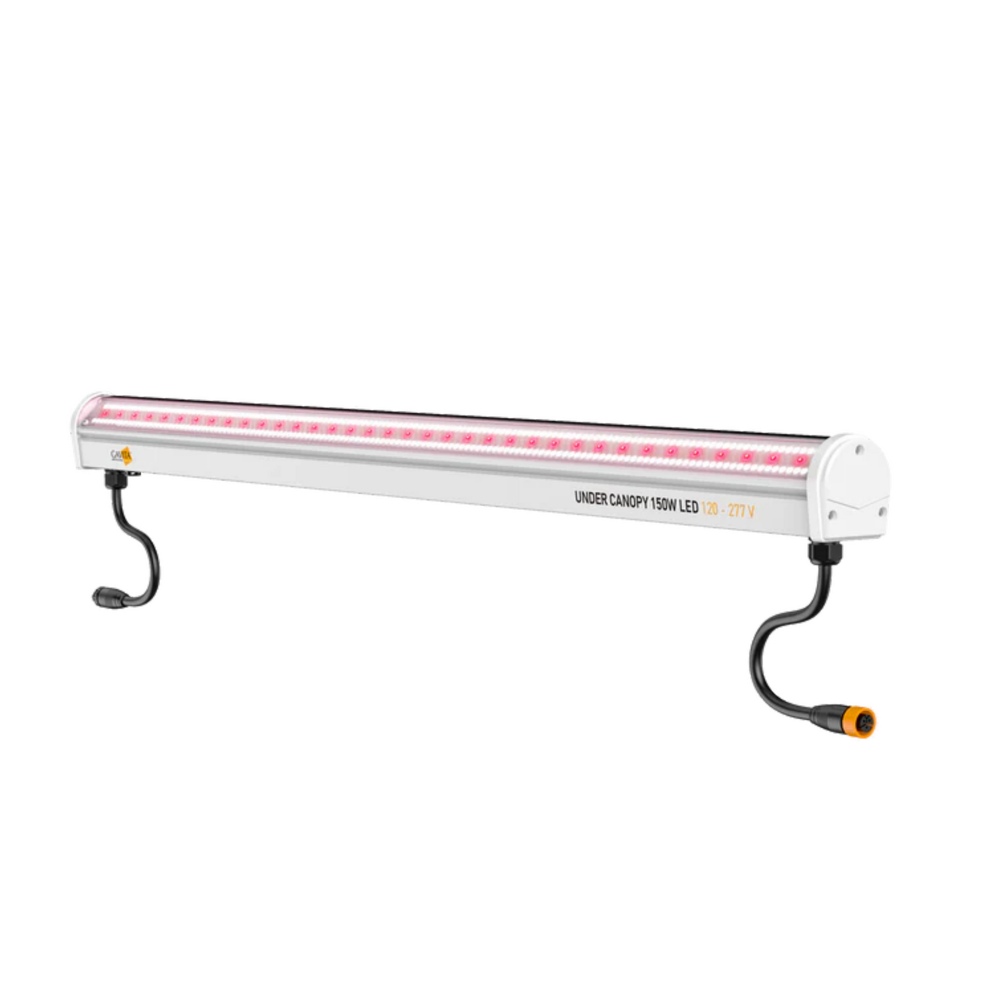 Gavita Under Canopy LED - UCL 150w bar