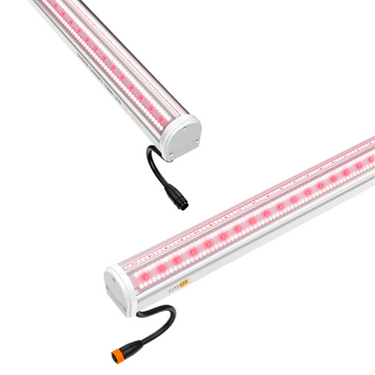 Gavita Under Canopy LED - UCL 150w plugs