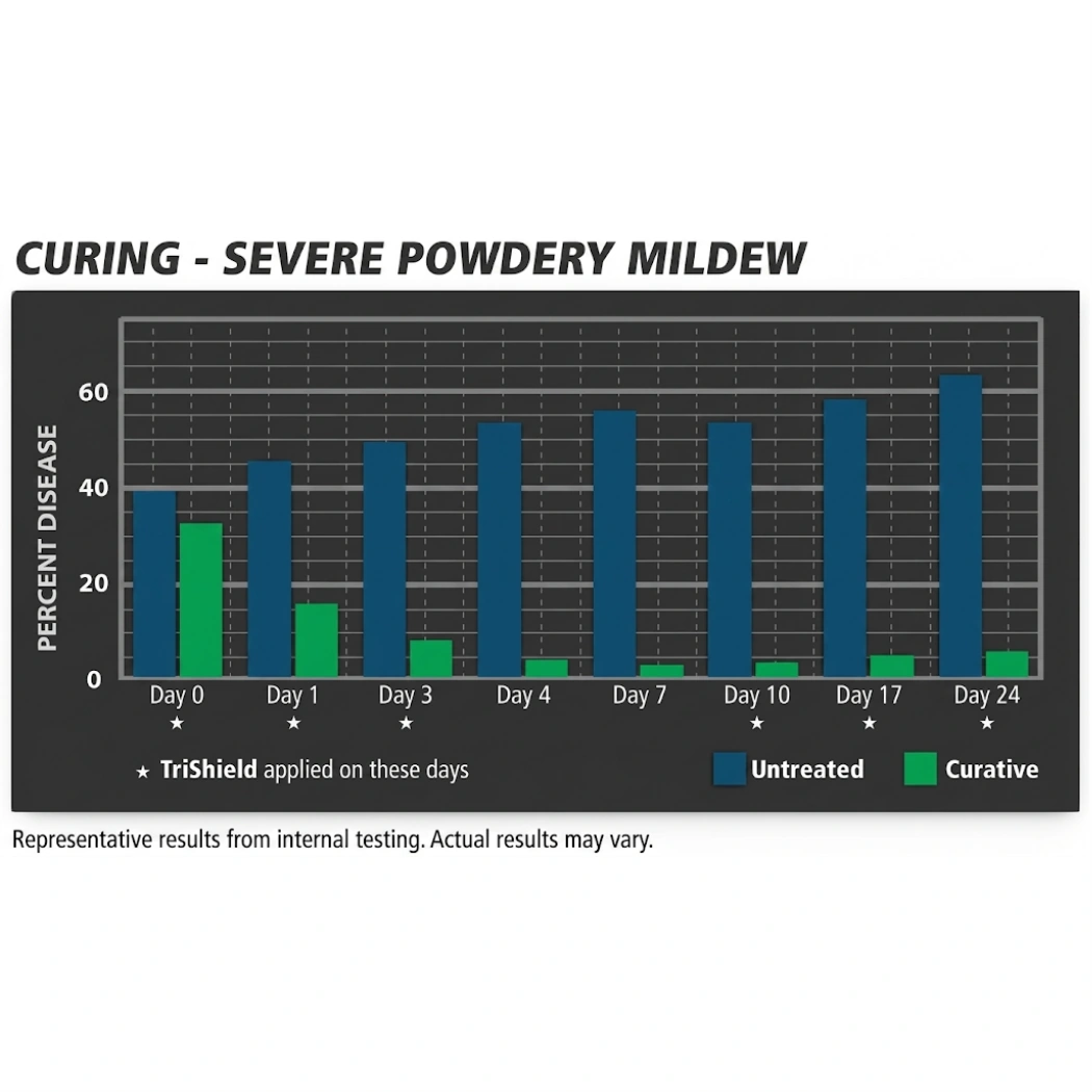 General Hydroponics TriShield Curing Severe Powdery Mildew