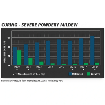 General Hydroponics TriShield Curing Severe Powdery Mildew