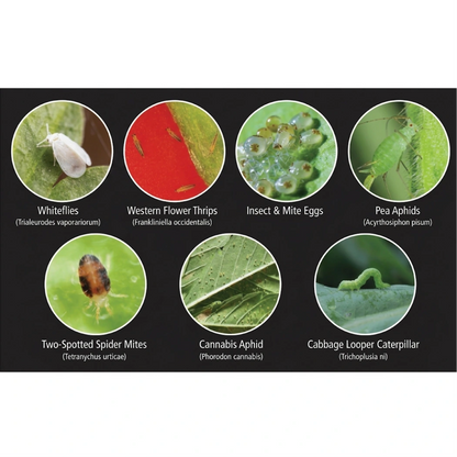 General Hydroponics TriShield Insect Control